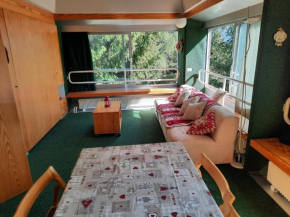 Vetrate sul bosco Marilleva